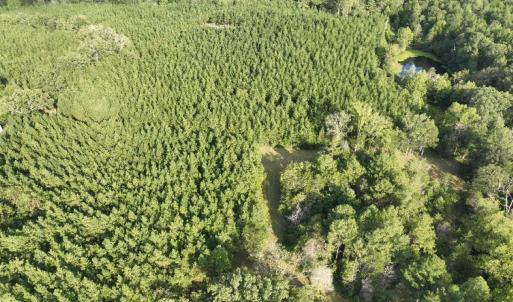 Photo #56 of  799 Sunnyside Rd , Arvonia, VA 140.0 acres