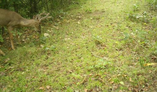 Photo #57 of  799 Sunnyside Rd , Arvonia, VA 140.0 acres