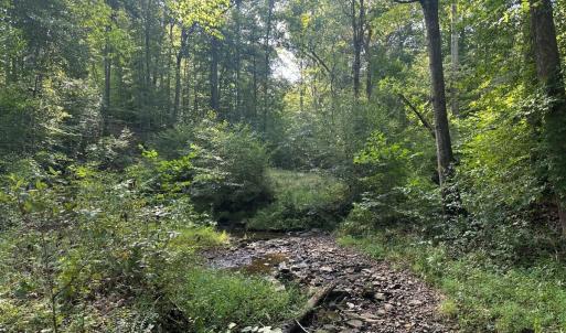 Photo #66 of  799 Sunnyside Rd , Arvonia, VA 140.0 acres