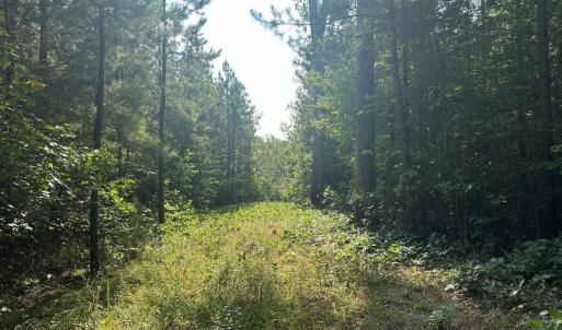 Photo #67 of  799 Sunnyside Rd , Arvonia, VA 140.0 acres