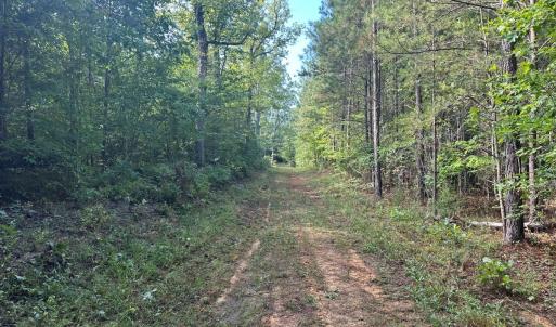 Photo #68 of  799 Sunnyside Rd , Arvonia, VA 140.0 acres