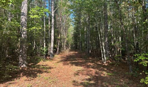 Photo #69 of  799 Sunnyside Rd , Arvonia, VA 140.0 acres