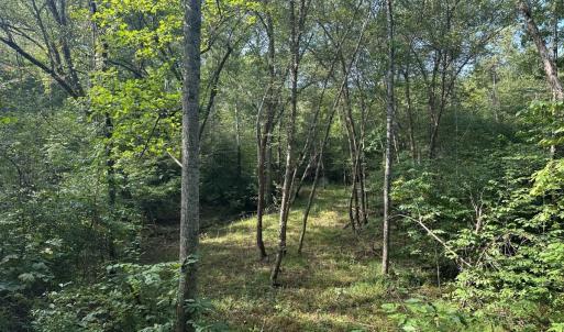 Photo #70 of  799 Sunnyside Rd , Arvonia, VA 140.0 acres