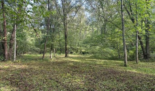 Photo #71 of  799 Sunnyside Rd , Arvonia, VA 140.0 acres