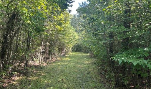 Photo #72 of  799 Sunnyside Rd , Arvonia, VA 140.0 acres