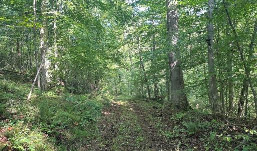 Photo #73 of  799 Sunnyside Rd , Arvonia, VA 140.0 acres