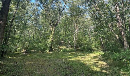 Photo #74 of  799 Sunnyside Rd , Arvonia, VA 140.0 acres