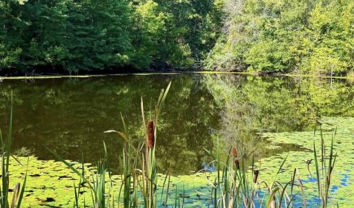Photo #79 of  799 Sunnyside Rd , Arvonia, VA 140.0 acres