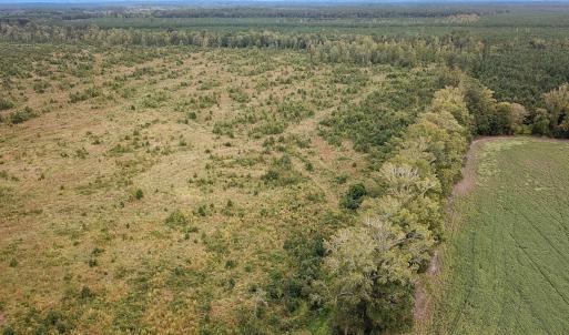 Photo #12 of Off of Saxis Road , Temperanceville, VA 193.0 acres