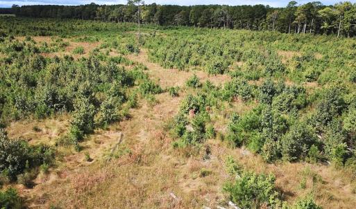Photo #13 of Off of Saxis Road , Temperanceville, VA 193.0 acres