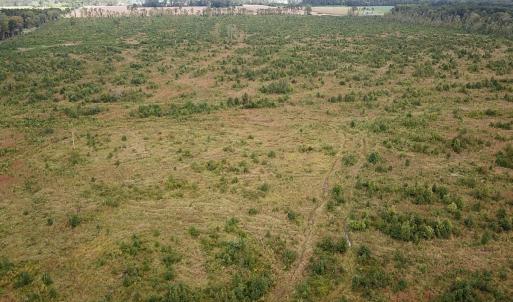 Photo #15 of Off of Saxis Road , Temperanceville, VA 193.0 acres