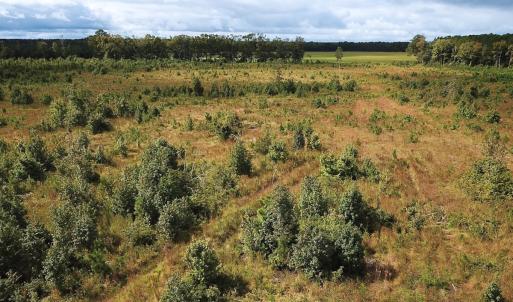 Photo #16 of Off of Saxis Road , Temperanceville, VA 193.0 acres