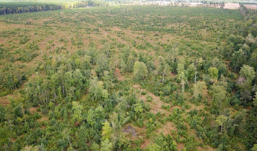 Photo #18 of Off of Saxis Road , Temperanceville, VA 193.0 acres