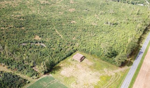Photo #19 of Off of Saxis Road , Temperanceville, VA 193.0 acres