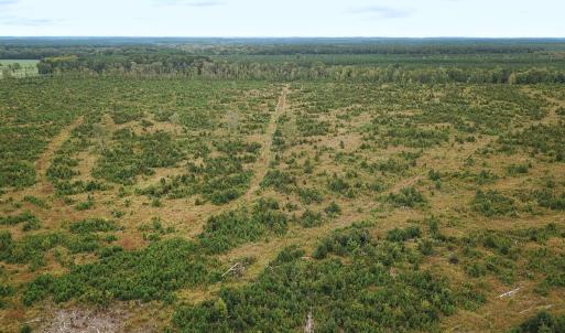Photo #1 of Off of Saxis Road , Temperanceville, VA 193.0 acres