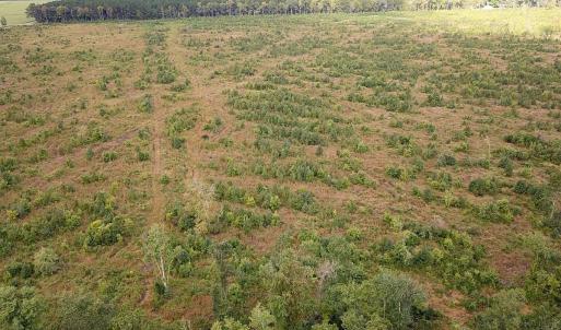 Photo #3 of Off of Saxis Road , Temperanceville, VA 193.0 acres