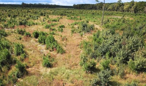 Photo #6 of Off of Saxis Road , Temperanceville, VA 193.0 acres