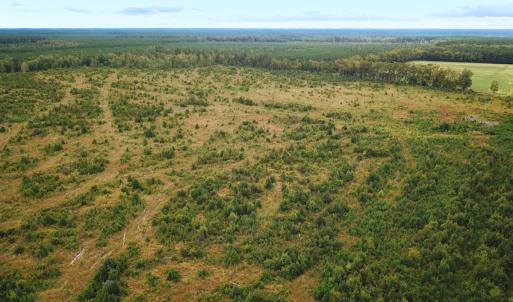 Photo #8 of Off of Saxis Road , Temperanceville, VA 193.0 acres