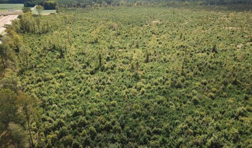 Photo #25 of Off of Saxis Road , Temperanceville, VA 193.0 acres