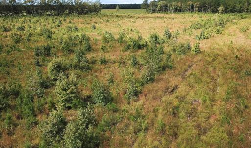 Photo #29 of Off of Saxis Road , Temperanceville, VA 193.0 acres