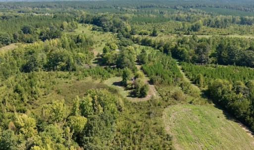 Photo #17 of 1170 Shelton Road, South Boston, VA 637.0 acres