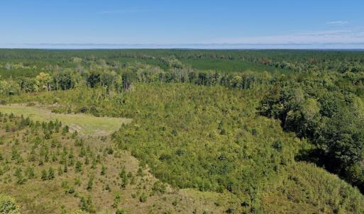 Photo #20 of 1170 Shelton Road, South Boston, VA 637.0 acres