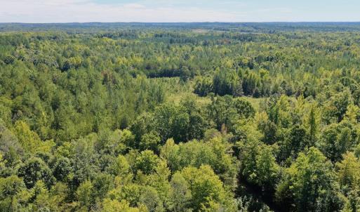 Photo #21 of 1170 Shelton Road, South Boston, VA 637.0 acres