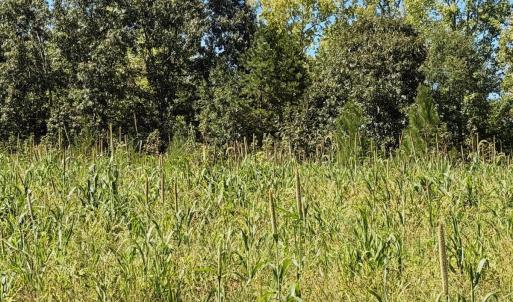 Photo #22 of 1170 Shelton Road, South Boston, VA 637.0 acres