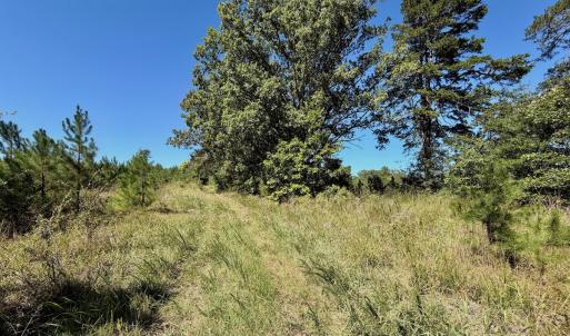 Photo #24 of 1170 Shelton Road, South Boston, VA 637.0 acres