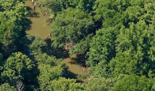 Photo #31 of 1170 Shelton Road, South Boston, VA 637.0 acres