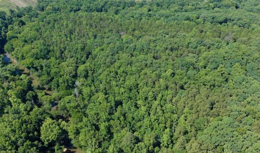Photo #32 of 1170 Shelton Road, South Boston, VA 637.0 acres