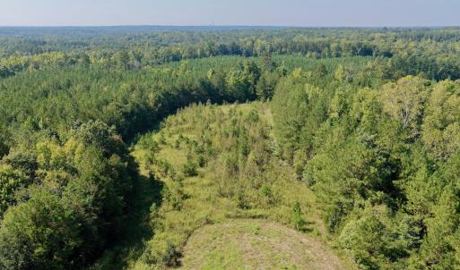 Photo #34 of 1170 Shelton Road, South Boston, VA 637.0 acres