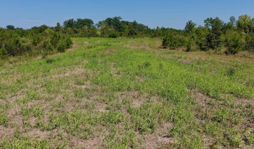 Photo #36 of 1170 Shelton Road, South Boston, VA 637.0 acres