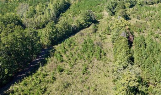 Photo #38 of 1170 Shelton Road, South Boston, VA 637.0 acres
