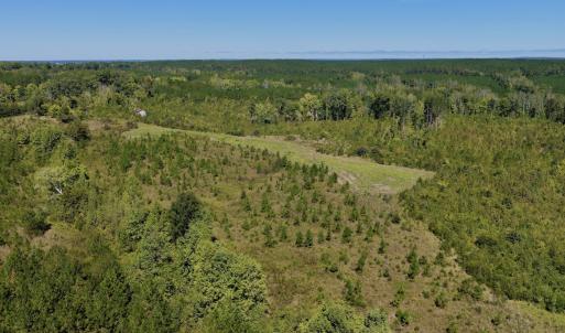 Photo #39 of 1170 Shelton Road, South Boston, VA 637.0 acres