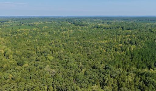Photo #6 of 1170 Shelton Road, South Boston, VA 637.0 acres