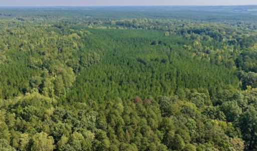 Photo #7 of 1170 Shelton Road, South Boston, VA 637.0 acres