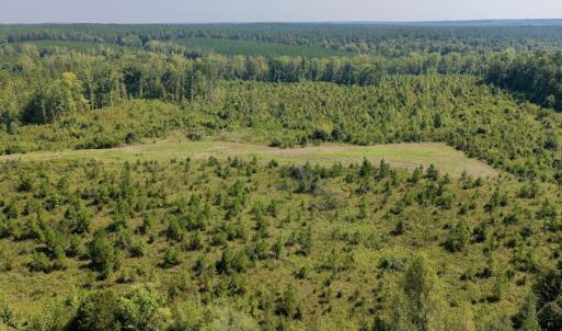 Photo #9 of 1170 Shelton Road, South Boston, VA 637.0 acres