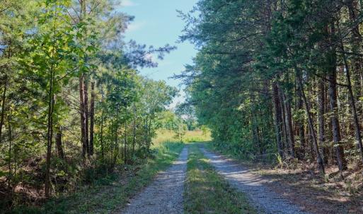Photo #41 of 1170 Shelton Road, South Boston, VA 637.0 acres