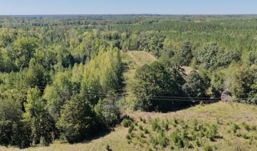 Photo #42 of 1170 Shelton Road, South Boston, VA 637.0 acres