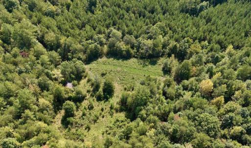 Photo #72 of 1170 Shelton Road, South Boston, VA 637.0 acres