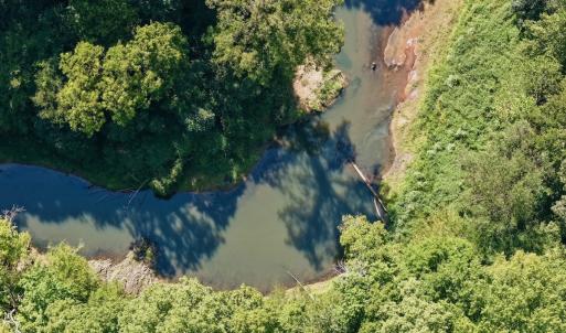 Photo #74 of 1170 Shelton Road, South Boston, VA 637.0 acres