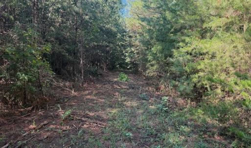 Photo #67 of 1170 Shelton Road, South Boston, VA 637.0 acres