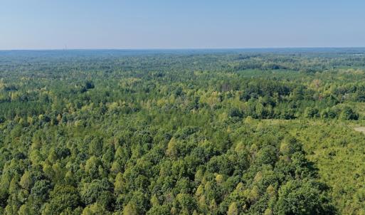 Photo #78 of 1170 Shelton Road, South Boston, VA 637.0 acres