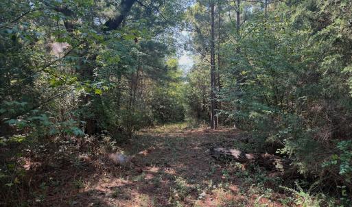 Photo #68 of 1170 Shelton Road, South Boston, VA 637.0 acres