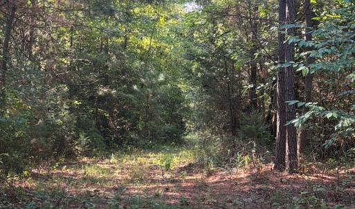 Photo #69 of 1170 Shelton Road, South Boston, VA 637.0 acres