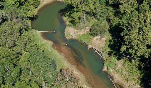 Photo #80 of 1170 Shelton Road, South Boston, VA 637.0 acres