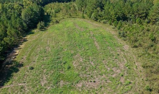 Photo #70 of 1170 Shelton Road, South Boston, VA 637.0 acres
