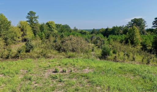 Photo #71 of 1170 Shelton Road, South Boston, VA 637.0 acres