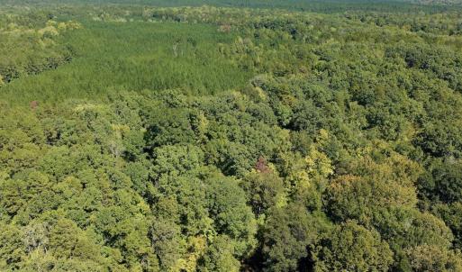 Photo #81 of 1170 Shelton Road, South Boston, VA 637.0 acres